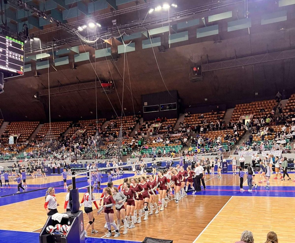 The volleyball team at the State Competiton.