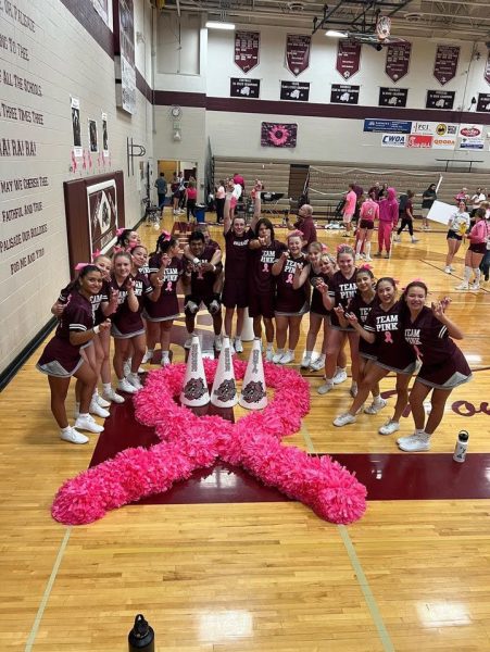 The cheer team the night of the volleyball cancer awareness game.
Photo provided by Caitlyn Wesolowski