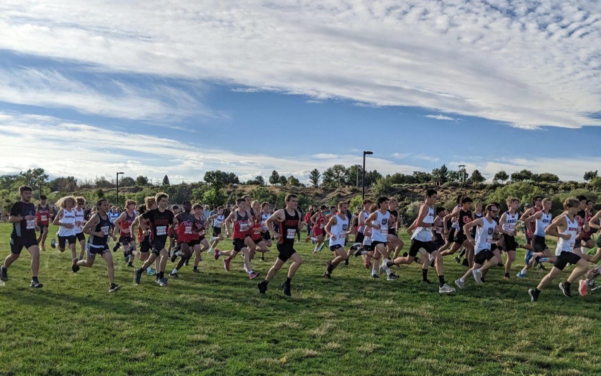 Cross country runners from a previous season. Photo provided by Katie Walker. 