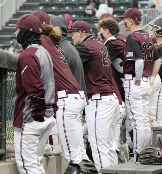 Palisade boys in the dugout during their baseball game against Battle Mountain in 2024. Photo provided by Ascher Morby.