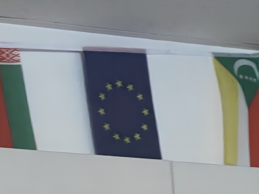 picture of the EU flag
