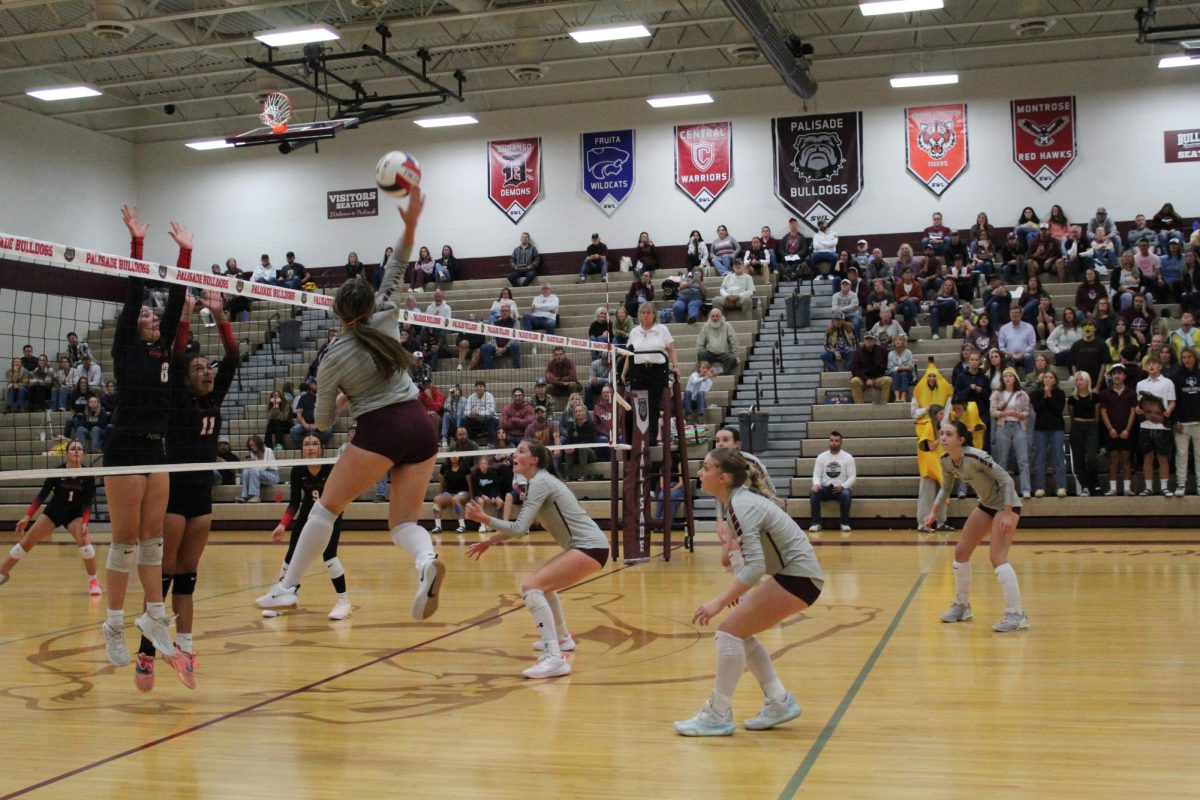 Palisade Volleyball: Another Win Under The Belt