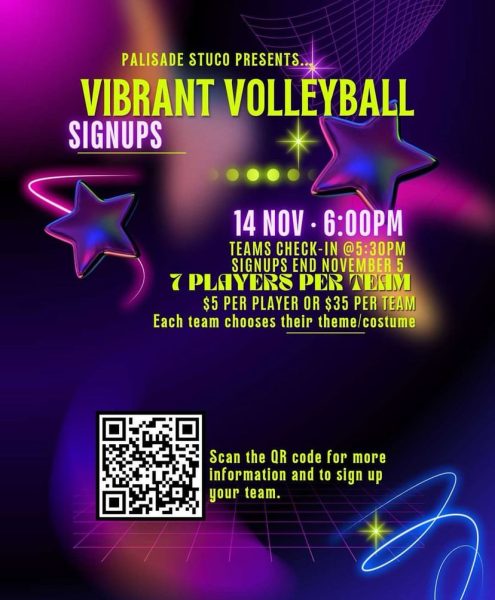 Vibrant Volleyball flyer 