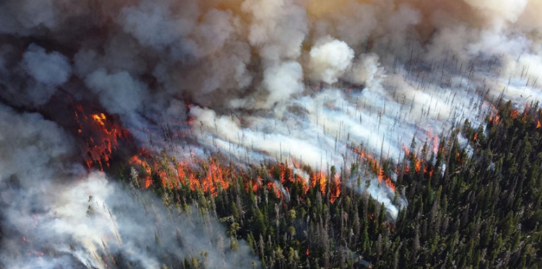 Utah wildfire in action