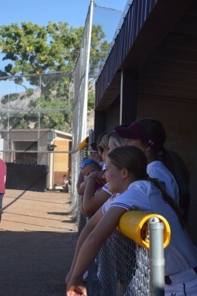 Bulldog players in the dugout supporting their teammates out on the field. 