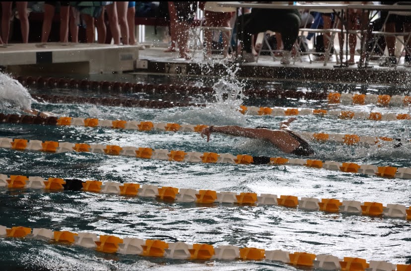 Action shot from the 200 Medley relay in the 2024 conference meet 
Photo Provided by: Emily Hardin 
