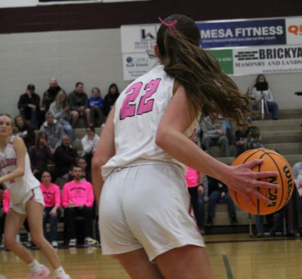 Junior Lyla Lancaster dominating Tuesday's game against the Tigers.