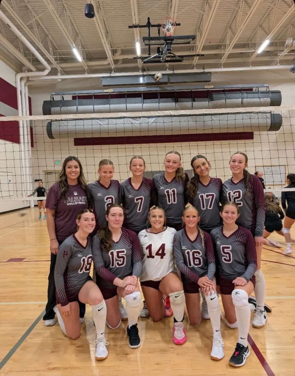 Palisade Volleyball C Team
