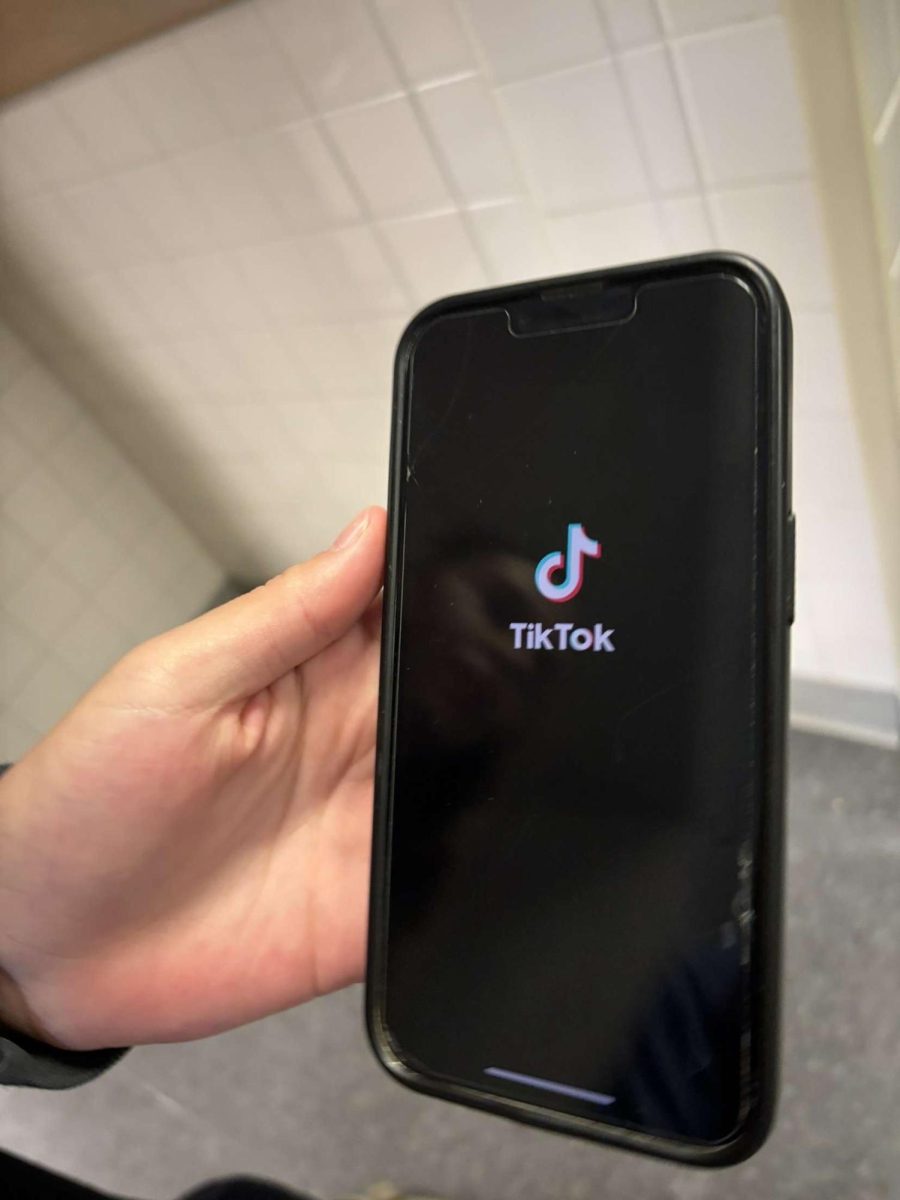 TikTok Survives Another Day