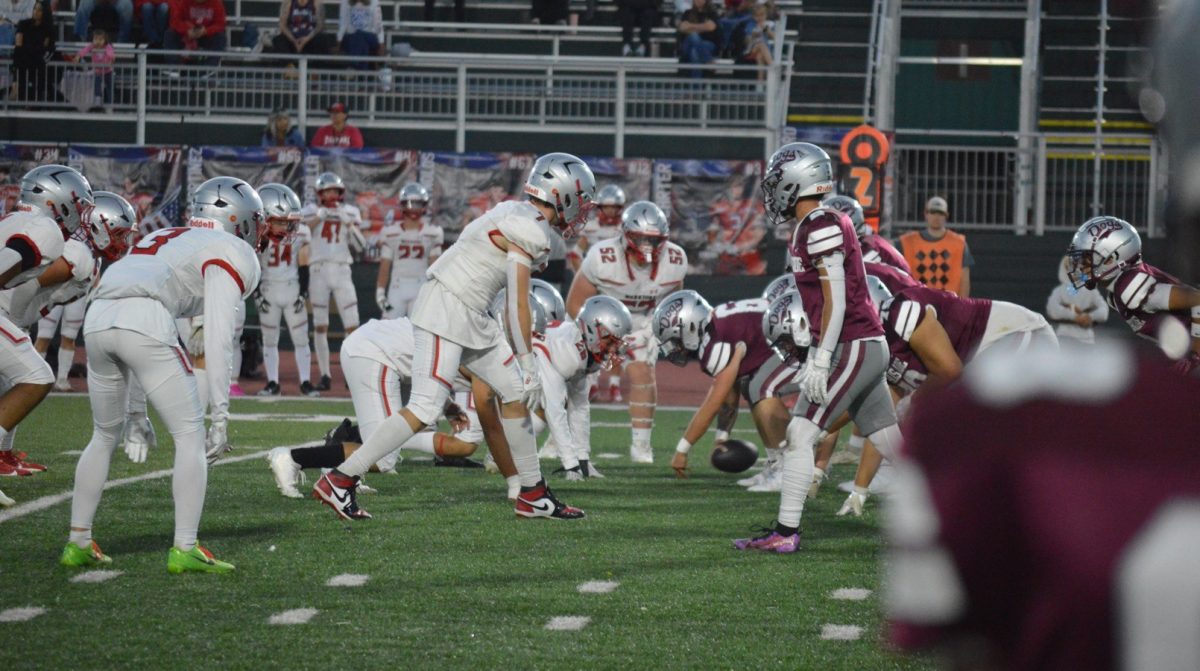 Palisade Up Against Central 