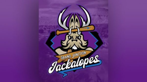 Photo of the team Logo 
