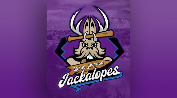 Photo of the team Logo 