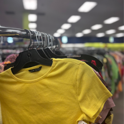   Goodwill reselling SHEIN clothing

