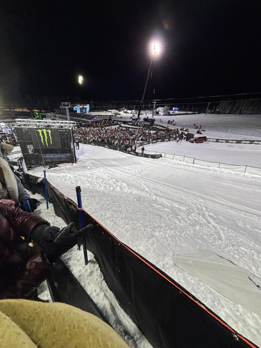 X games crowd