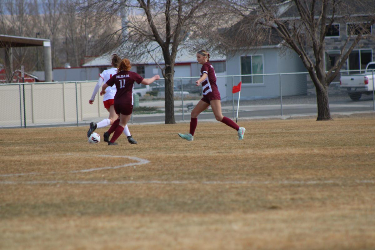 Palisade Bulldog running to the ball to get a goal.