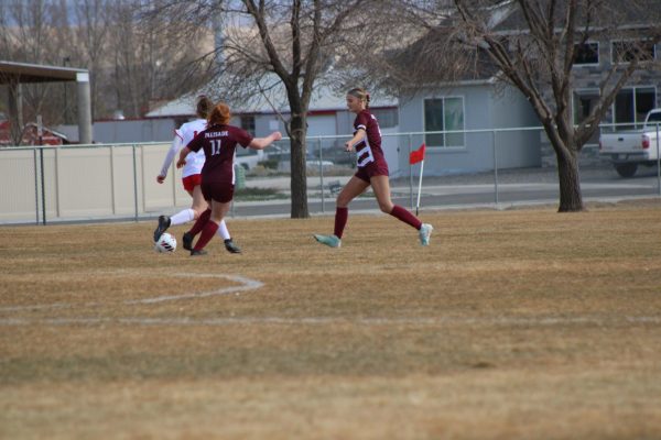 Palisade Bulldog running to the ball to get a goal.